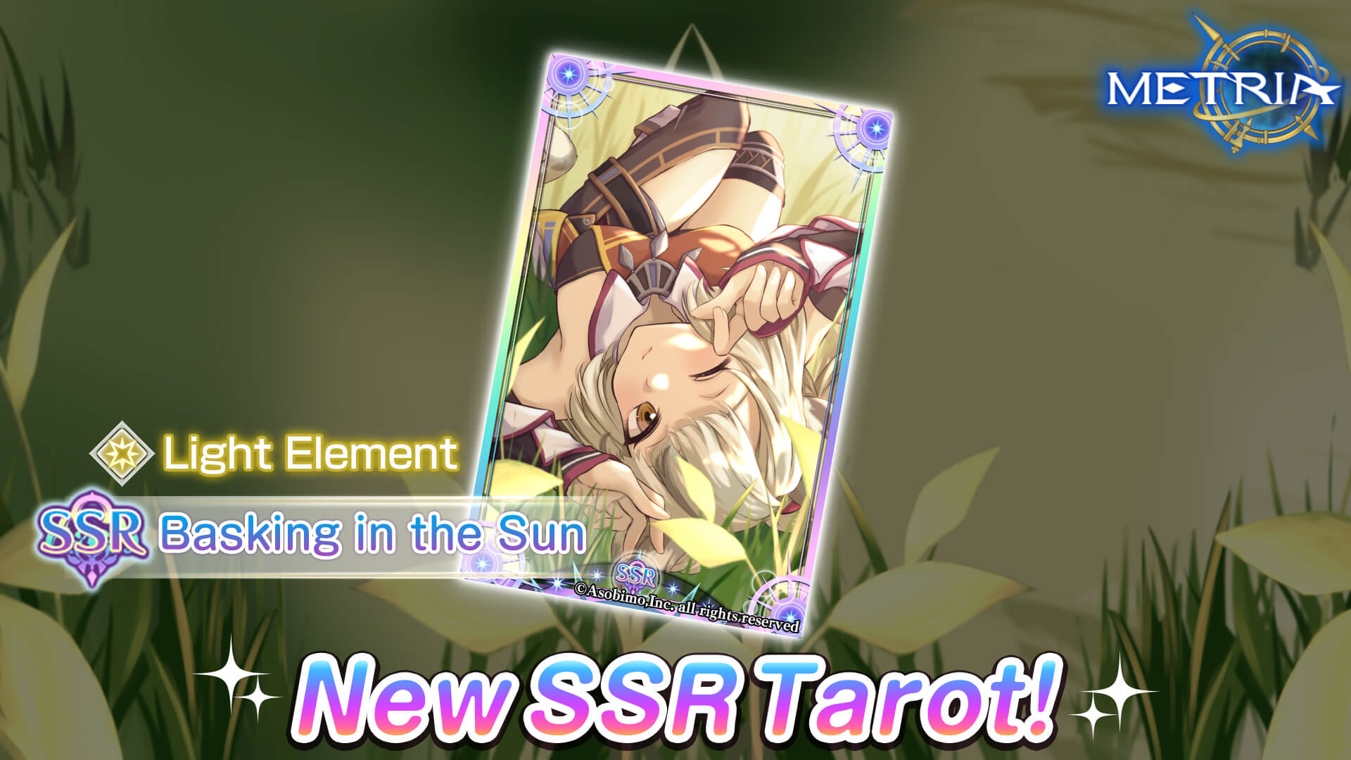 New SSR Tarot: "Basking in the Sun" Coming Soon!